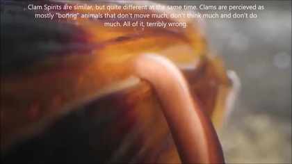 A snail and clam spirits - an important lesson Ive learned in my Marine Kingdom