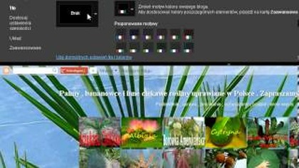 Problem ze zmianą tła na blogspot palmywpl. blogspot. com