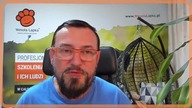 Co to jest wzmocnienie w pracy z psem?