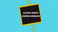 Błedne wyobrzażenia
