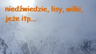 Dowcip dnia! #032# #dowcipdnia #dowcip #kawały