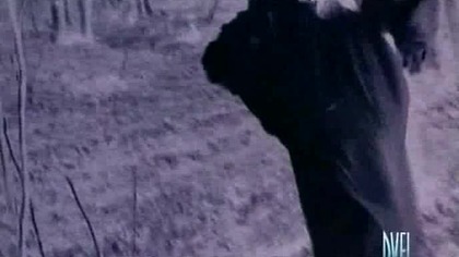 Devils wedding night - Il Plenilunio delle vergini 1973