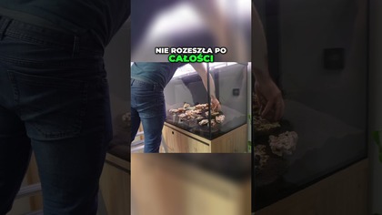 Jak zrobić wyspy aby były trwałe ???