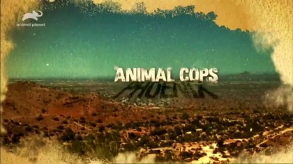 ANIMALPLANET - 27-02-2026 - Zapowiedzi, Reklamy, Początek awarii