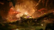 Ori and the will of the wisps e3
