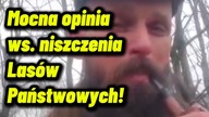 2025 będzie rokiem niszczenia Lasów Państwowych i przygotowania ich pod przyszłą prywatyzację?