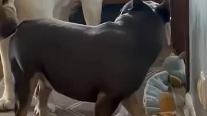 Co jadłeś Mietek?!