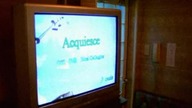 Oasis - Acquiesce (1995)