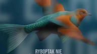 Ryboptaki  #alternatereality #fishbird #polskirap #rappl #muzyka