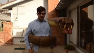 Gadżet na Halloween