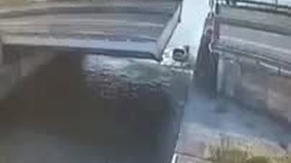 Not Fast and Not Furious 