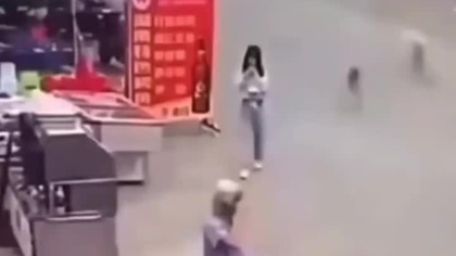 Patrz na to! #zabawne #humor #dog #michaeljackson #smoothcriminal #viral #funny