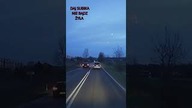 NARWANIEC Uduszę Się Jak Nie Wyprzedzę