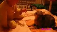 4 minuty śmiechu zwierzaki