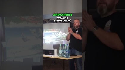 Zrób To Sam! Zaskakujący Świat Terrariów Zaczynamy Teraz!