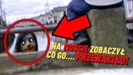 5 PRZERAŻAJĄCYCH filmów o DUCHACH, które mogą cię OPĘTAĆ!