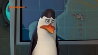 Pingwiny z Madagaskaru - SE02E53 Nienawiść Od Pierwszego Wejrzenia - Problem Z Żelusiem
