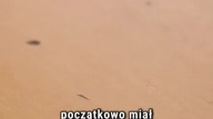 JOHN WICK miał mieć zupełnie inny tytuł? #johnwick #keanureeves #filmyakcji