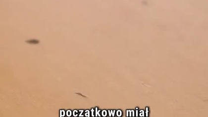 JOHN WICK miał mieć zupełnie inny tytuł? #johnwick #keanureeves #filmyakcji