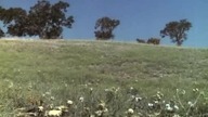 16.  Domek Na Prerii S02E16 (PL)