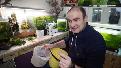 Paludarium bez obsługi  rok później i walka z sinicą!