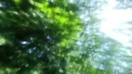czwarty raz urwałem łańcuch downhill w Parchów szarotka dzieciństwo i grzyby