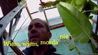 Odc-653-Musa velutina,musella lasiocarpa,wianecznik,obcinanie sucharów,kiedy nawozić banany