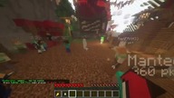 shadery +10 do skilla