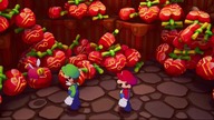Mario & Luigi Brothership - przewodnik po grze (Switch) część 13