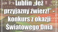 Lublin: Jeż przyjazny zwierz! - konkurs z okazji Światowego Dnia Jeża