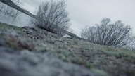 Łowca Głów (2018) Lektor FHD