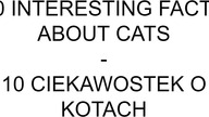 10 Ciekawostek o kotach