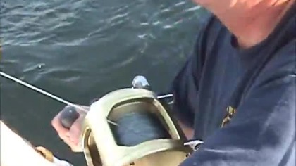 Tunczyk 738 f 