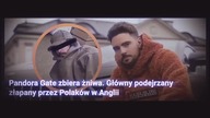 Cała prawda o Wardędze ZASIĘGI GATE - EchoPandory
