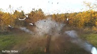 6 Damage Tests with Firecrackers