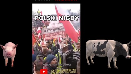 Protest Rolnik&oacute;w!