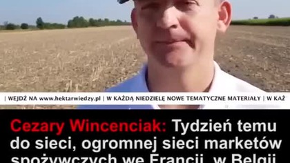 Tełorie spiskowe... już tu są.. mp4 686x432