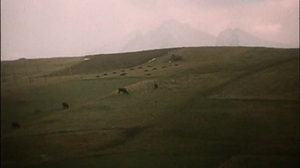 1972. Kaprysy Łazarza