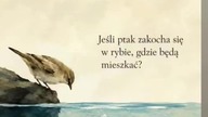 Moja odpowiedź muzyczna na to.