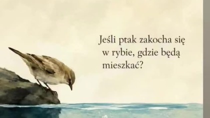 Moja odpowiedź muzyczna na to.