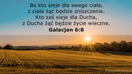 Janek Pajor - Choć już parę lat minęło