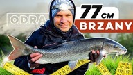 349 UDANA TAKTYKA - RZEKA ODRA - BRZANY