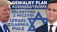 NIEWIARYGODNE.  Ten plan to nie kpina.  Oni naprawdę to proponują | dr W.  Szewko