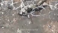 Wojna Rosja - Ukraina Nietypowe samobójstwo rosyjskiego okupanta