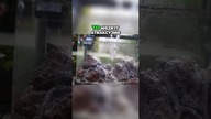 Za szybko zalane.  #aquascape