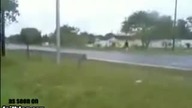 Rowerowy FAIL