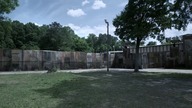 The Walking Dead. S11E08