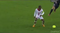 Ibrahimovic ograny