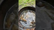 Swojski rosół na kuchence polowej na rybach