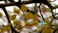 HGTV - 24-01-2022 - Reklama, Zapowiedzi